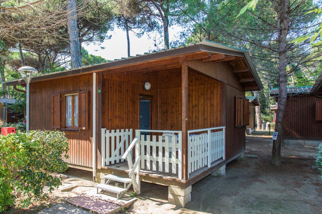 Chalet Comfort Maxi Pet not allowed
