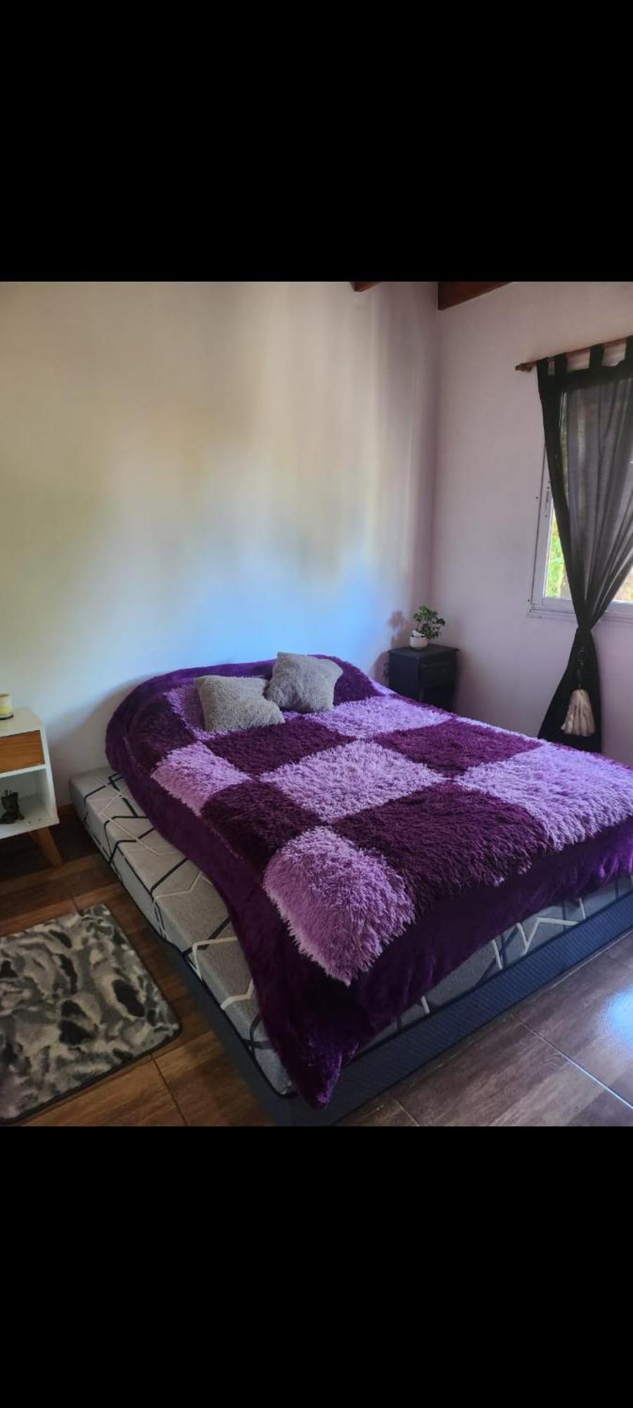 Comfort Bungalow Pet not allowed