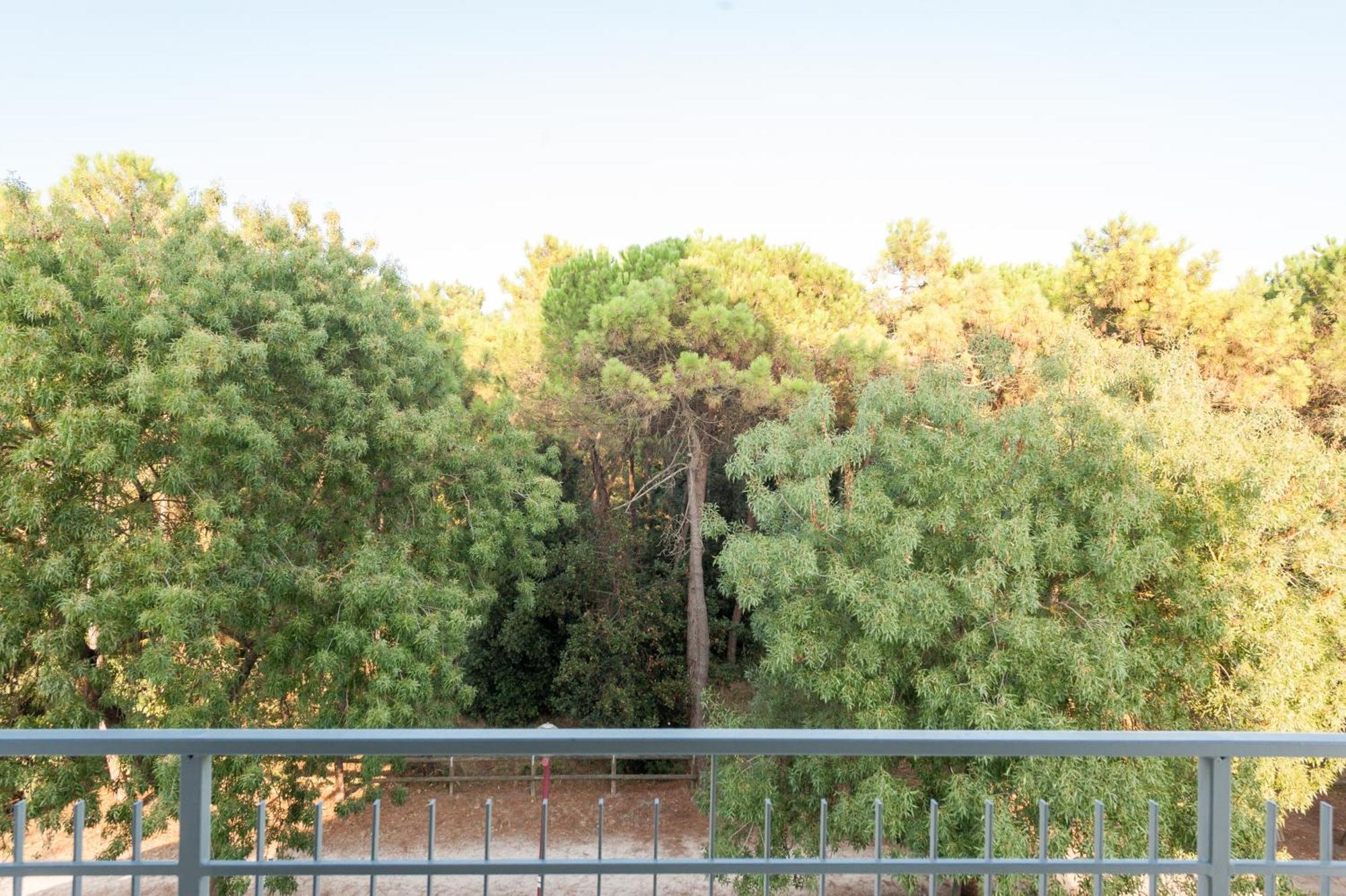 Superior Double or Twin Room Balcony