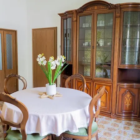 Reno Family House-2
