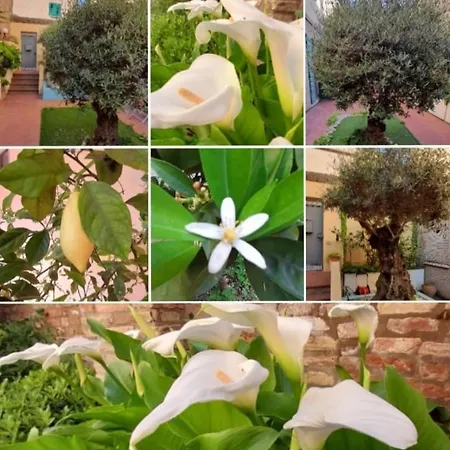 B&B La Chicca-2