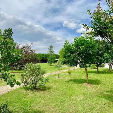 The Green Home-2