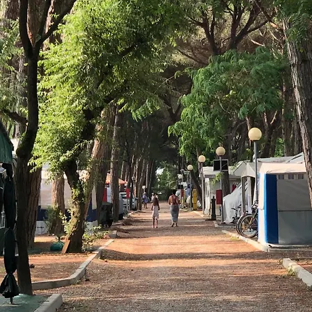 Club del Sole Marina Romea Easy Camping Village-3