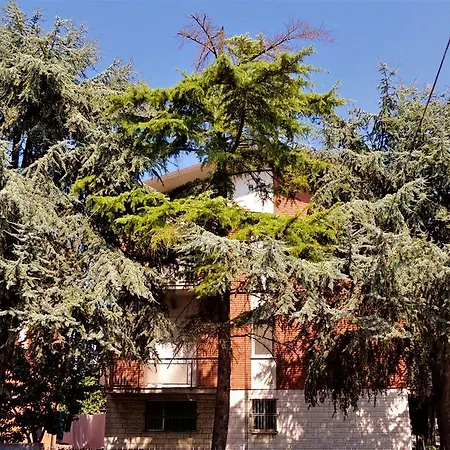Domus Del Bizantino-3