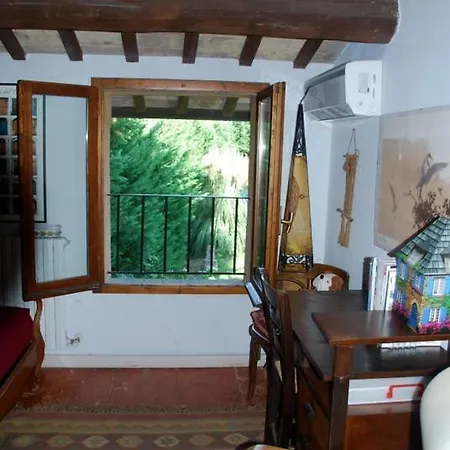 Camomilla-3
